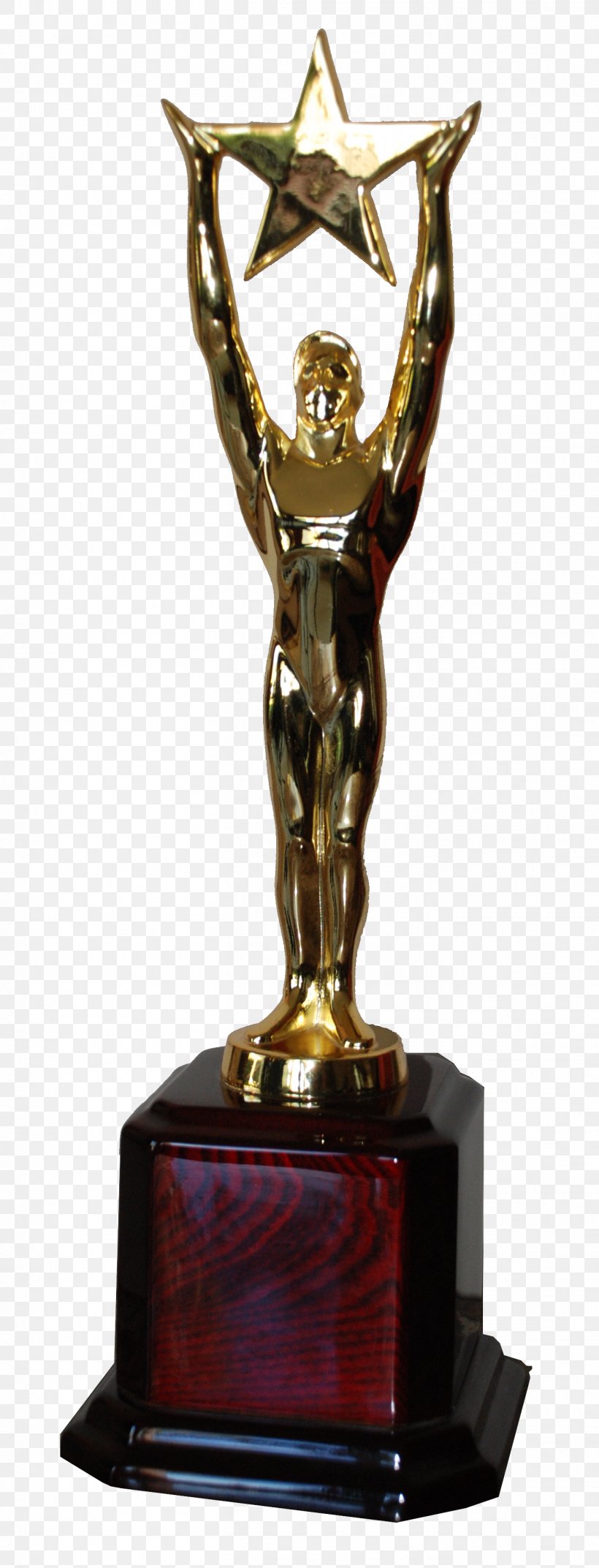 Award Indie Fest Figurine Prize Competition, PNG, 1362x3562px, Award, Academy Awards, Bronze, Bronze Sculpture, Competition Download Free
