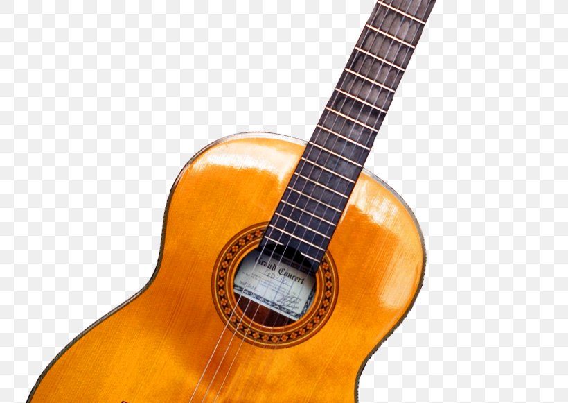 Classical Guitar Acoustic Guitar Electric Guitar Guitar Chord, PNG, 774x581px, Watercolor, Cartoon, Flower, Frame, Heart Download Free