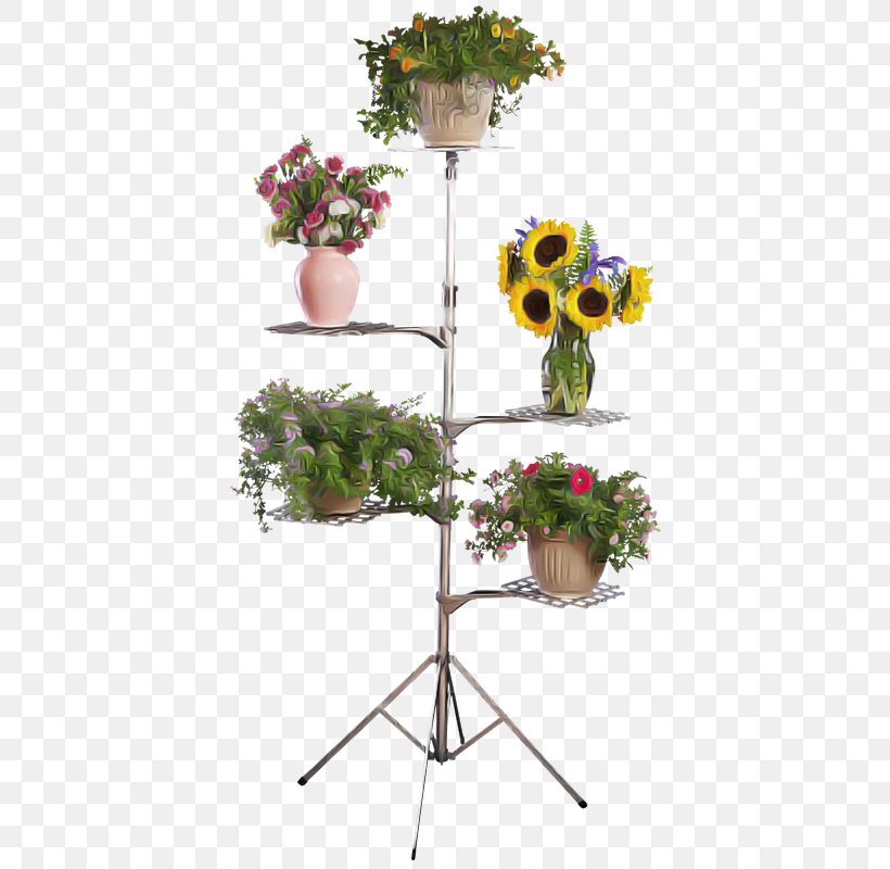 Flowerpot Flower Cut Flowers Plant Bouquet, PNG, 800x800px, Flowerpot, Bouquet, Cut Flowers, Flower, Houseplant Download Free