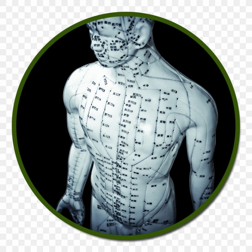 Acupuncture Qigong Traditional Chinese Medicine, PNG, 900x900px, Acupuncture, Back Pain, Electroacupuncture, Energy, Health Download Free