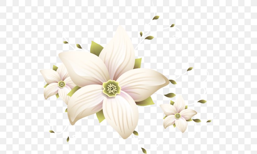 Petal Cut Flowers Floral Design, PNG, 567x491px, Petal, Blossom, Cut Flowers, Floral Design, Floristry Download Free