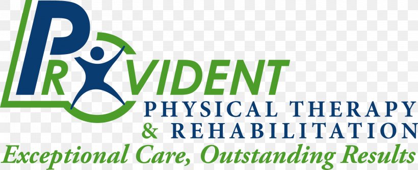 Provident Physical Therapy & Rehabilitation (Formally East Northport Physical Therapy) Health Erica B. Person, PT, PNG, 3150x1280px, Physical Therapy, Area, Athletic Trainer, Banner, Brand Download Free