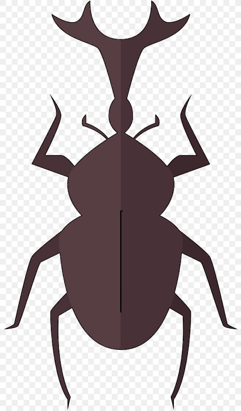 Insect Vector Graphics Illustration Euclidean Vector, PNG, 809x1398px, Insect, Arthropod, Beetle, Bug, Cartoon Download Free