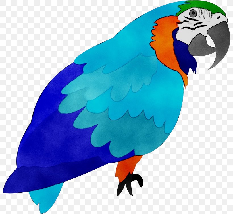 Parrot Clip Art Macaw Cartoon Bird, PNG, 800x752px, Parrot, Animated Cartoon,  Beak, Bird, Cartoon Download Free