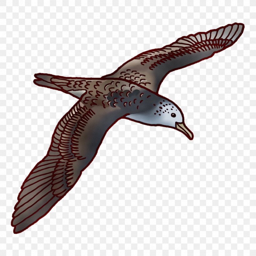 Beak Seabird, PNG, 1400x1400px, Watercolor, Beak, Paint, Seabird, Wet Ink Download Free