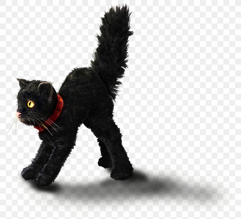 Black Cat Kitten Whiskers, PNG, 1301x1185px, Black Cat, Ailurophobia, Carnivoran, Cat, Cat Like Mammal Download Free