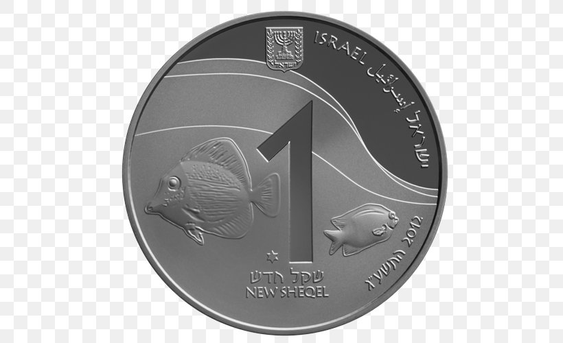 Gold Coin Israeli New Shekel Silver Eilat, PNG, 500x500px, Coin, Black And White, Coral, Coral Reef, Currency Download Free