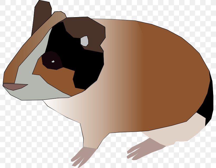 Guinea Pig Rodent Clip Art, PNG, 800x639px, Guinea Pig, Beak, Cage, Carnivoran, Cartoon Download Free