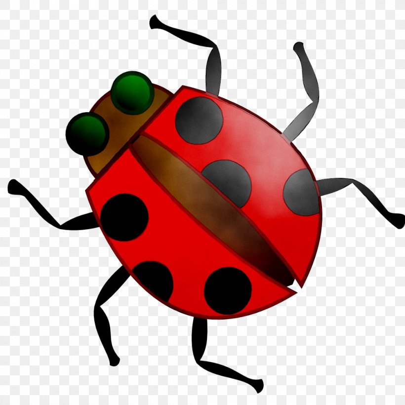Ladybird Beetle Clip Art Image Vector Graphics, PNG, 1000x1000px, Ladybird Beetle, Animation, Beetle, Bug, Cartoon Download Free