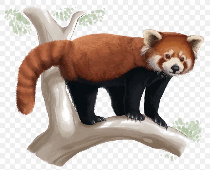 Red Panda Giant Panda Drawing Cuteness Png 1500x1218px Red Panda Art Bear Carnivoran Cute Overload Download