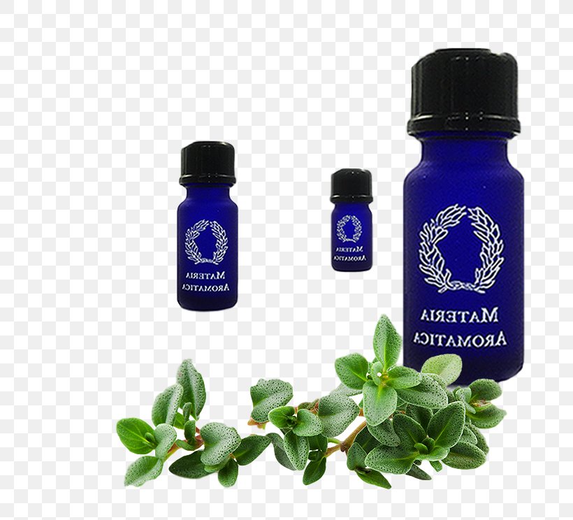 Thyme Herb Oregano Essential Oil Tea, PNG, 744x744px, Thyme, Bottle, Breckland Thyme, Condiment, Essential Oil Download Free