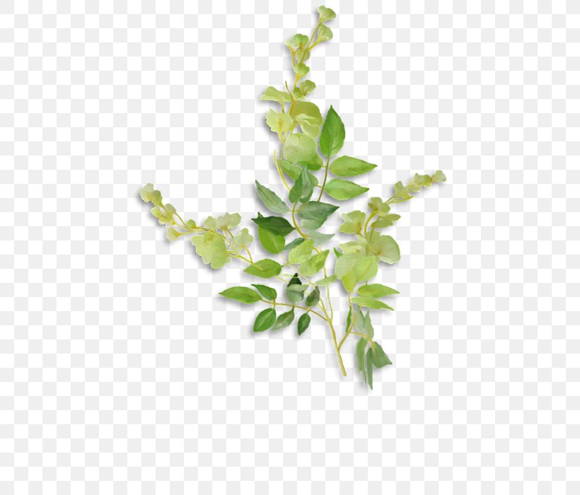 Twig Hoodie T-shirt Flowerpot Plant Stem, PNG, 452x700px, Twig, Bluza, Branch, Flower, Flowerpot Download Free