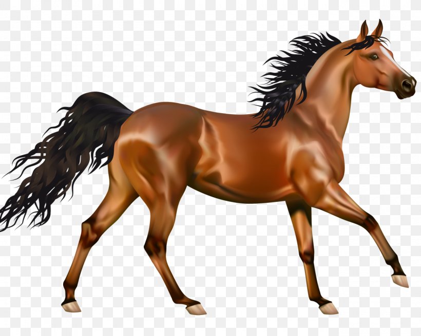 Arabian Horse Pony Clip Art Friesian Horse, PNG, 1280x1024px, Arabian Horse, Animal Figure, Bay, Black, Bridle Download Free