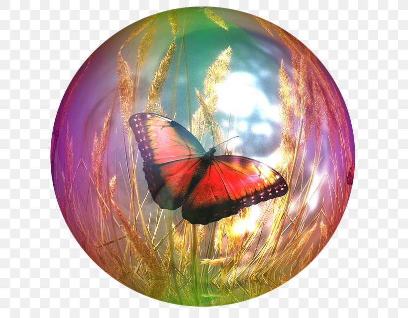 Butterfly Ssfm Puzzle Game Soap Bubble Beautiful Butterflies, PNG, 640x640px, Butterfly, Beautiful Butterflies, Brush Footed Butterfly, Bubble, Child Download Free