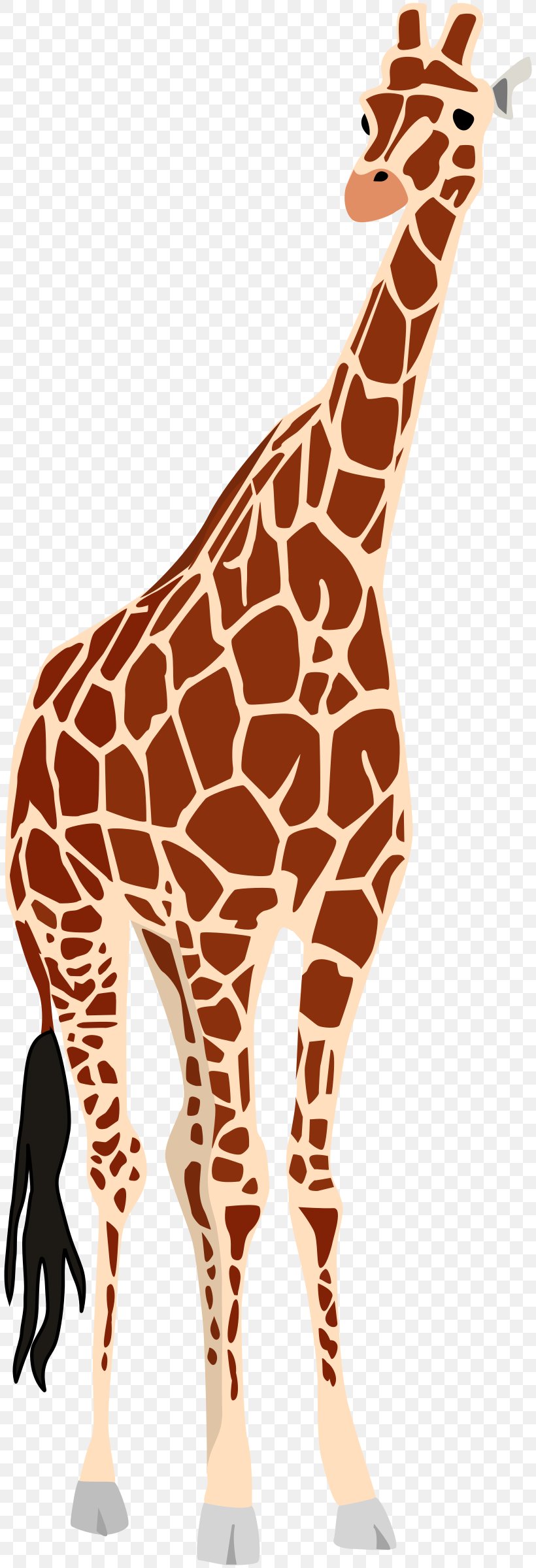 Giraffe Okapi Clip Art, PNG, 816x2400px, Giraffe, Animal, Animal Figure, Fauna, Giraffidae Download Free