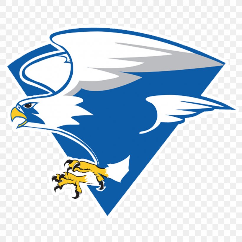North Forney High School Pine Tree High School National Secondary School, PNG, 1080x1080px, Forney, American Football, Area, Artwork, Baseball Download Free