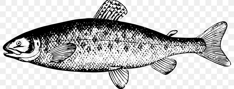 River Leven, Dunbartonshire Smoked Salmon Clip Art, PNG, 800x313px, River Leven Dunbartonshire, Atlantic Salmon, Black And White, Coho Salmon, Drawing Download Free