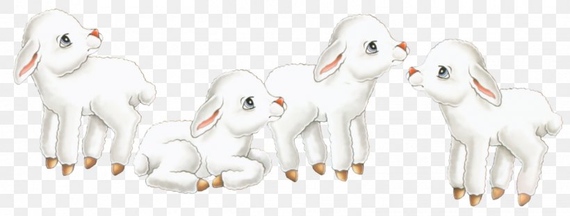 Sheep Goat Agneau Col De La Forclaz, PNG, 1522x580px, Watercolor, Cartoon, Flower, Frame, Heart Download Free