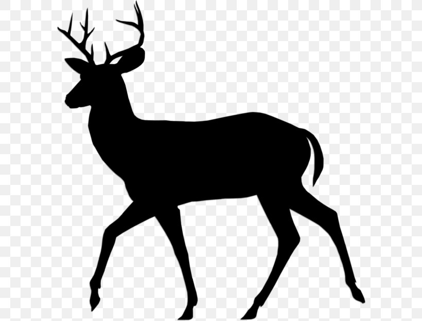 Vector Graphics Illustration Royalty-free Silhouette, PNG, 600x625px, Royaltyfree, Antelope, Antler, Chamois, Coloring Book Download Free