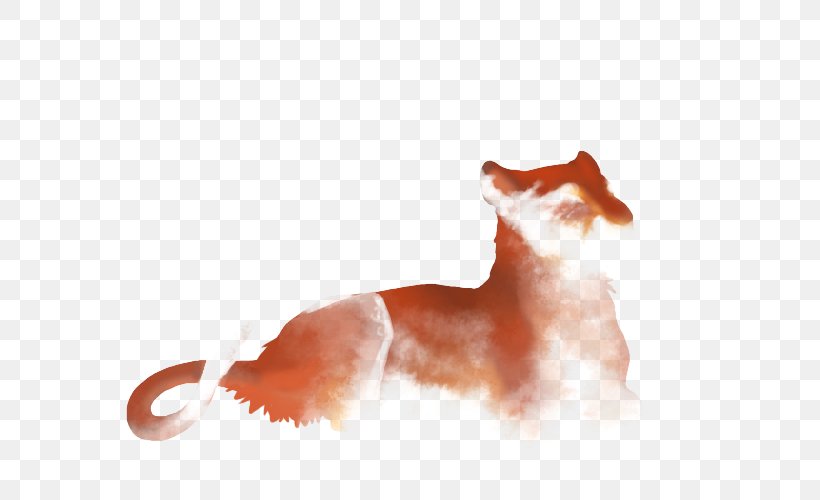 Whiskers Red Fox Cat Snout Tail, PNG, 640x500px, Whiskers, Carnivoran, Cat, Cat Like Mammal, Dog Like Mammal Download Free