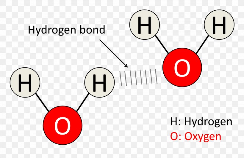 Diagram Hydrogen Bond Molecule Water Chemical Bond, PNG, 1638x1065px, Diagram, Area, Brand, Chemical Bond, Communication Download Free