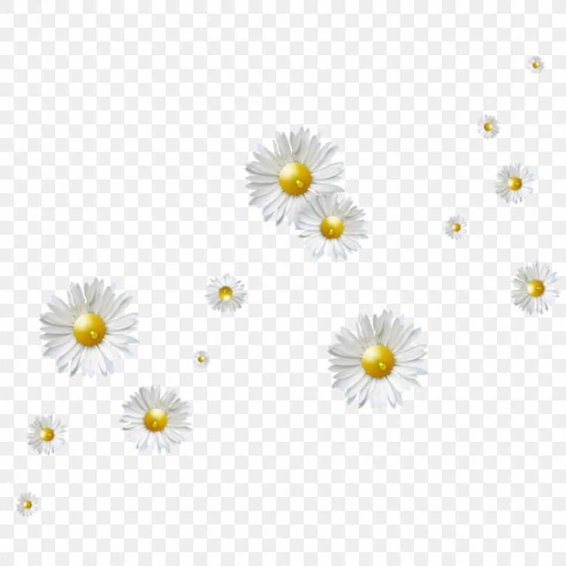 Flower Clip Art, PNG, 1000x1000px, Flower, Albom, Computer Graphics, Flowering Plant, Freeware Download Free