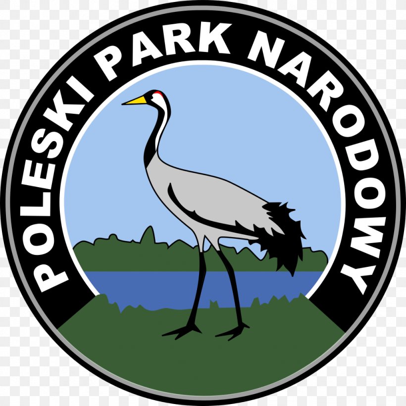 Polesie National Park Bieszczady National Park Kozienice Landscape Park Brodnica Landscape Park, PNG, 1024x1024px, National Park, Beak, Bird, Fauna, Grass Download Free