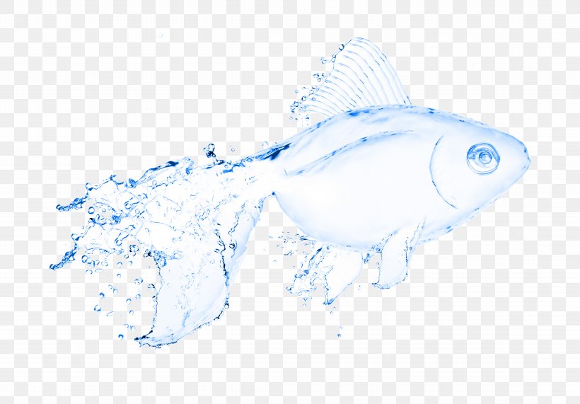 Water Fish Stock Photography Illustration, PNG, 8864x6176px, Water, Drawing, Drinking Water, Fish, Marine Biology Download Free