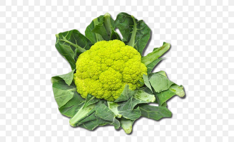 Broccoli Cauliflower Vegetarian Cuisine Collard Greens Spring Greens, PNG, 500x500px, Broccoli, Broccoflower, Cauliflower, Collard Greens, Cruciferous Vegetables Download Free