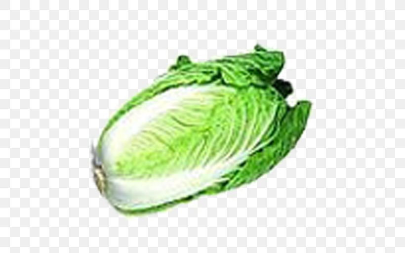 Chinese Cabbage Napa Cabbage Vegetable Melon, PNG, 512x512px, Cabbage, Brassica Oleracea, Broccoli, Brussels Sprout, Cabbage Roll Download Free