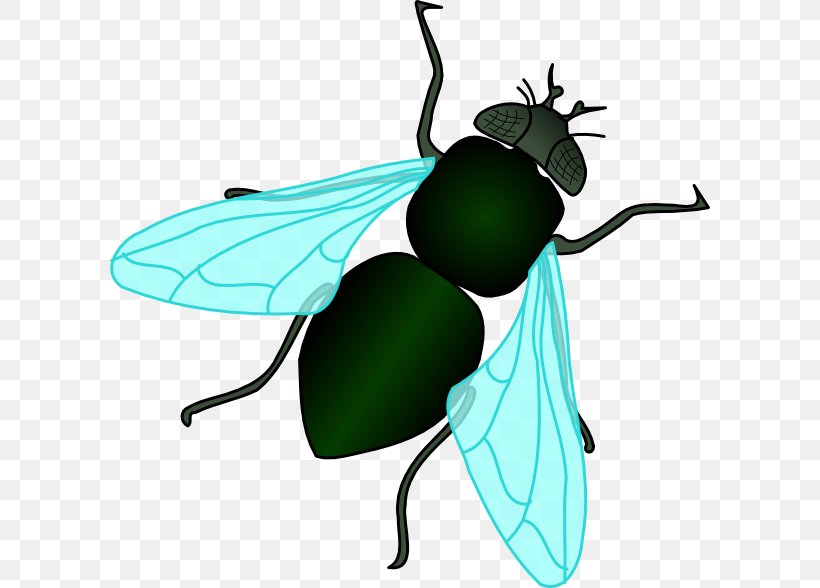 Fly Clip Art, PNG, 600x588px, Fly, Arthropod, Cartoon, Common Fruit Fly, Drawing Download Free