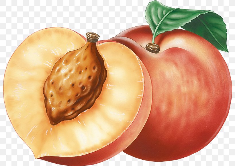 Peach Image File Formats Clip Art, PNG, 800x578px, Peach, Apple, Diet Food, Food, Fruit Download Free