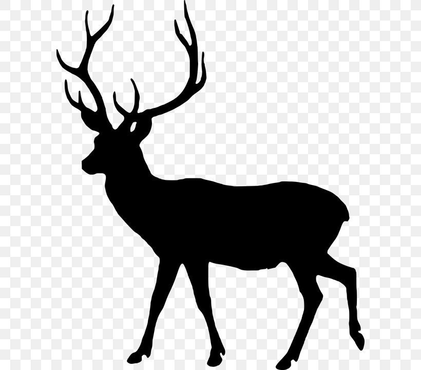 Vector Graphics Image Graphic Design, PNG, 600x720px, Deer, Antelope, Antler, Chart, Coloring Book Download Free