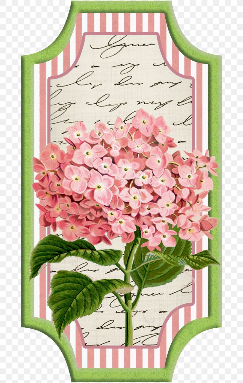 Cut Flowers Paper Wedding Invitation Oakleaf Hydrangea, PNG, 682x1289px, Flower, Blue, Botanical Illustration, Color, Cornales Download Free