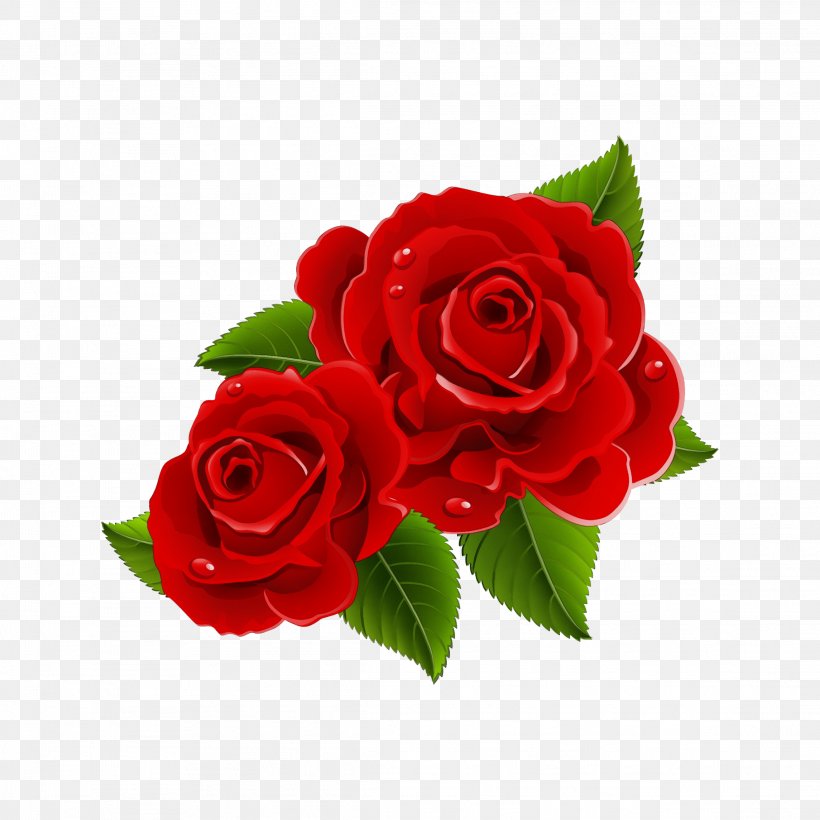 Garden Roses, PNG, 2289x2289px, Watercolor, Cut Flowers, Floribunda, Flower, Flowering Plant Download Free