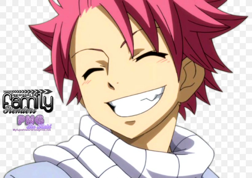 Natsu Dragneel Desktop Wallpaper Fairy Tail Character, PNG, 904x638px, Watercolor, Cartoon, Flower, Frame, Heart Download Free