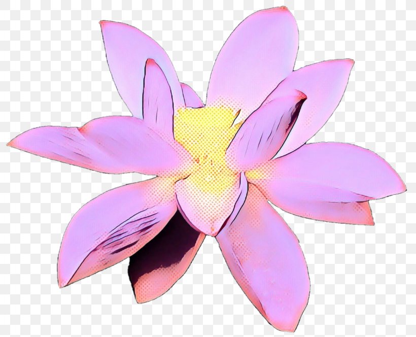 Pink Flower Cartoon, PNG, 1024x830px, Petal, Aquatic Plant, Aquatic Plants, Cattleya, Flower Download Free