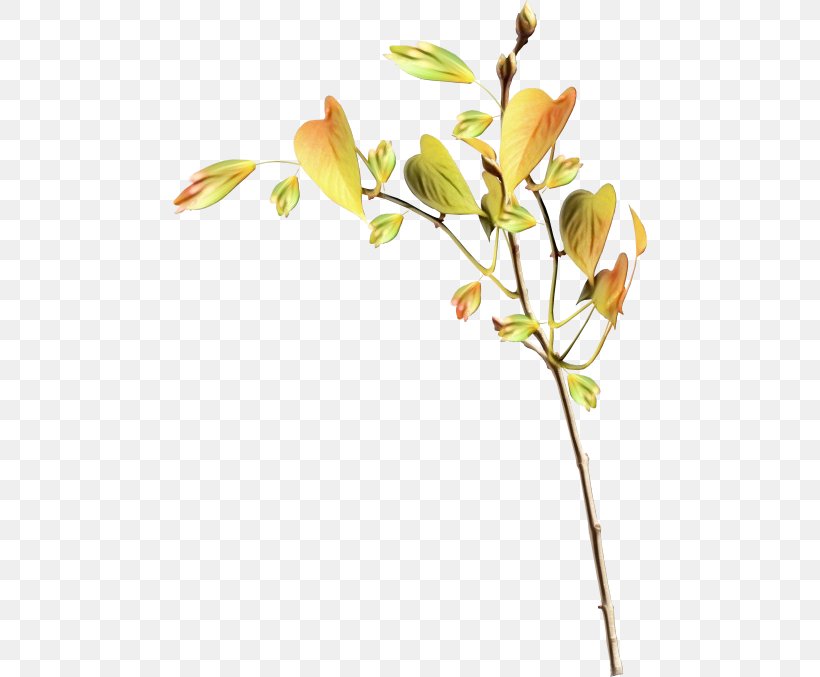 Branch Leaf Twig Diary, PNG, 474x677px, Branch, Botany, Bud, Cut Flowers, Diary Download Free