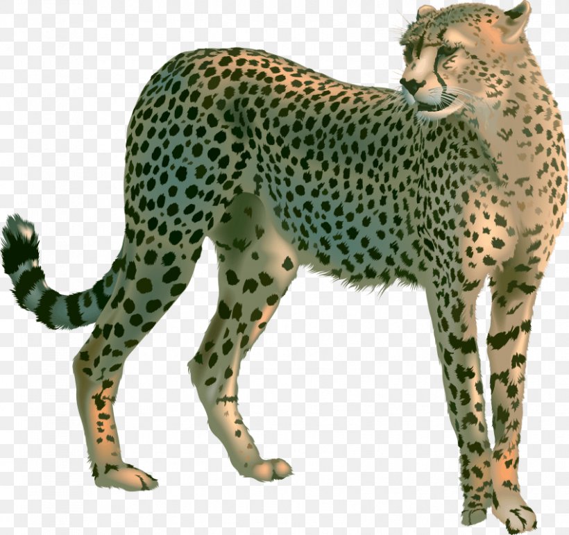 Cheetah Leopard Clip Art Lion, PNG, 850x800px, Cheetah, Animal Figure, Big Cats, Carnivoran, Cat Like Mammal Download Free
