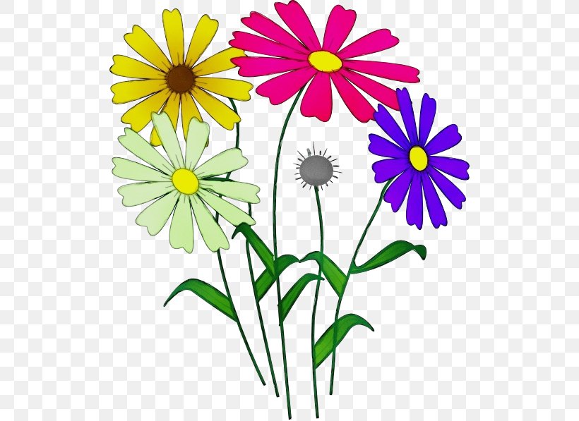 Drawing Of Family, PNG, 510x597px, Watercolor, African Daisy, Botany, Chamomile, Cut Flowers Download Free