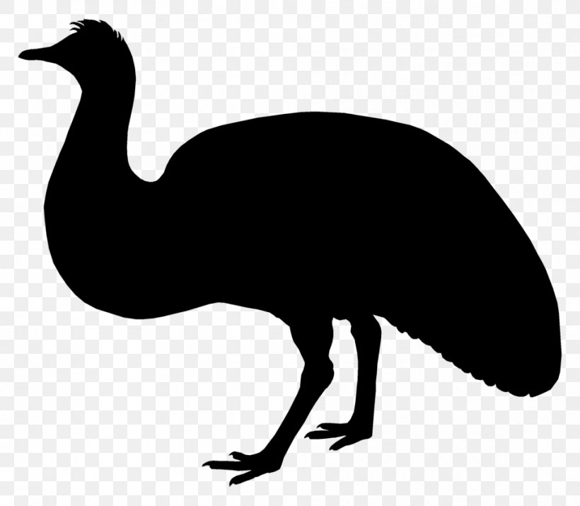 Emu Common Ostrich Galliformes Fauna Clip Art, PNG, 957x835px, Emu, Beak, Bird, Black And White, Common Ostrich Download Free
