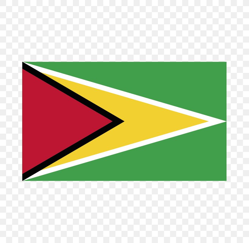 Flag Of Guyana Flag Of The United States Flags Of South America, PNG, 800x800px, Flag Of Guyana, Area, Brand, Flag, Flag Of Brazil Download Free