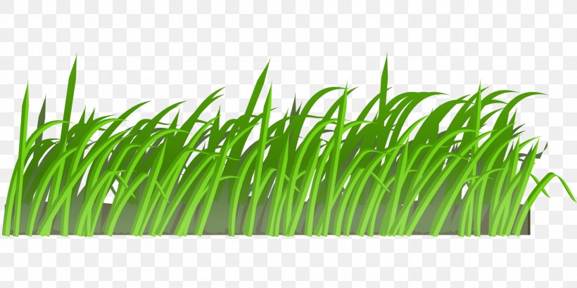 Lawn Mower Cartoon Clip Art, PNG, 1920x960px, Lawn, Cartoon, Commodity, Garden, Grass Download Free