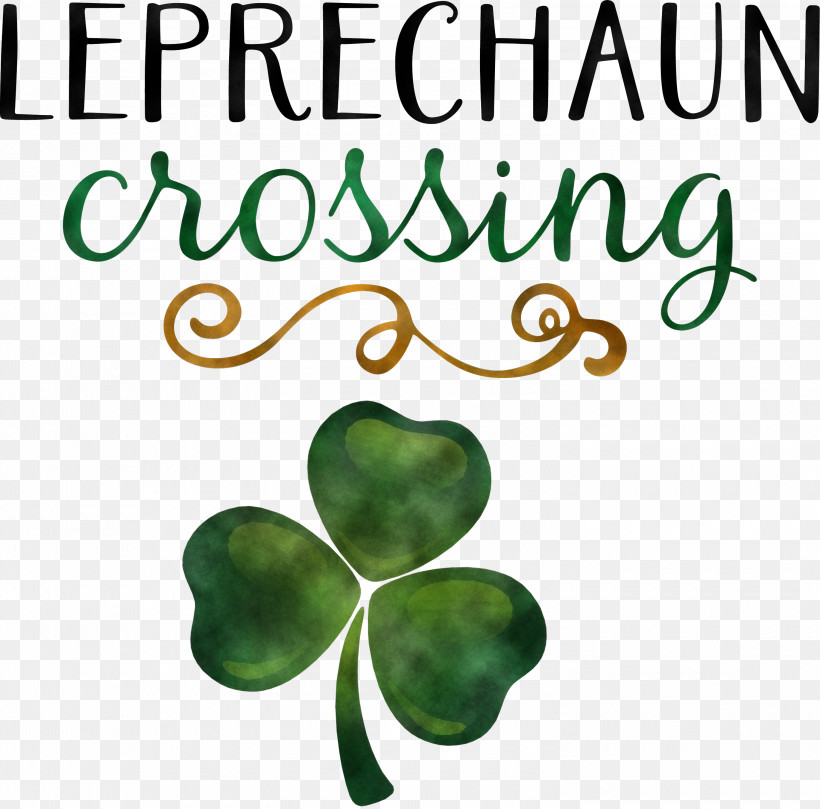 Leprechaun Patricks Day Saint Patrick, PNG, 3000x2962px, Leprechaun, Biology, Green, Leaf, Meter Download Free
