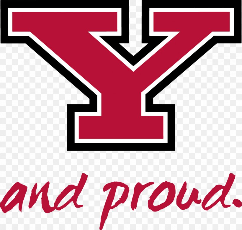 Youngstown State University Youngstown State Penguins Football Kent State University Northern Kentucky University University Of Illinois At Chicago, PNG, 1325x1261px, Youngstown State University, American Football, Area, Brand, Central Michigan University Download Free
