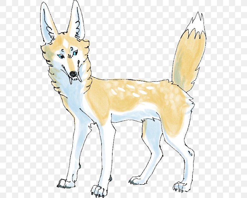 Czechoslovakian Wolfdog Dingo Dog Breed Red Fox, PNG, 553x658px, Czechoslovakian Wolfdog, Animal, Animal Figure, Artwork, Breed Download Free