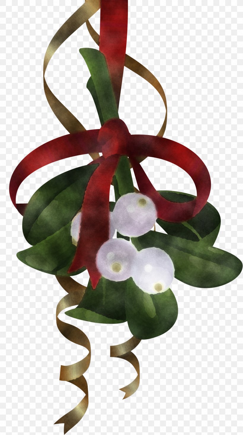 Flower Plant Anthurium, PNG, 1673x2999px, Flower, Anthurium, Plant Download Free