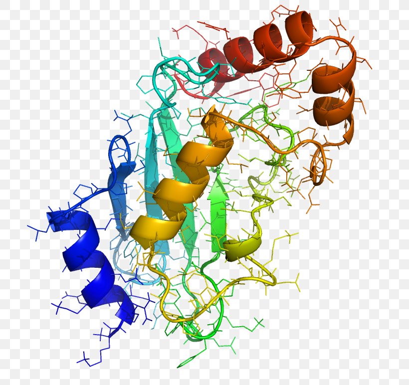 Ubiquitin-conjugating Enzyme Protein Post-translational Modification, PNG, 726x772px, Enzyme, Acetylation, Art, Artwork, Branch Download Free