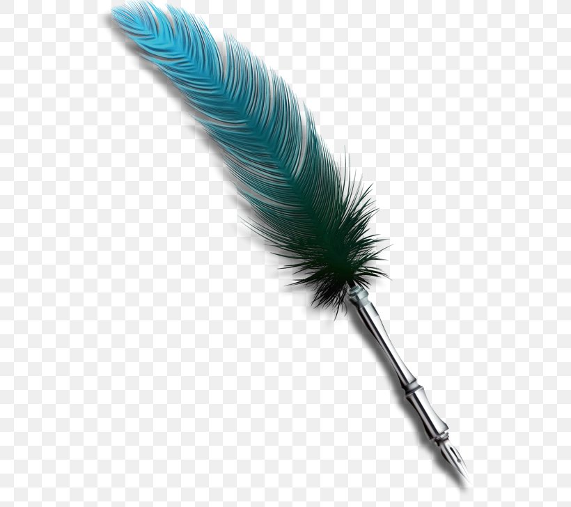 Writing Cartoon, PNG, 539x728px, Feather, Artificial Fly, Bait, Fishing Lure, Pen Download Free