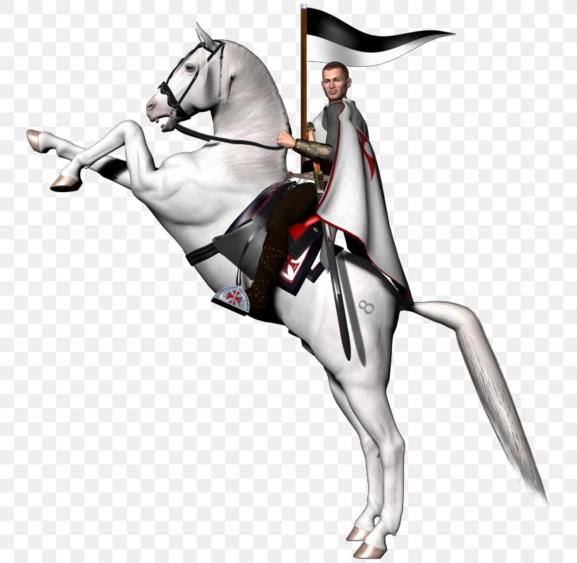 Arabian Horse Rearing Knights Templar Clip Art, PNG, 800x800px, Arabian Horse, Black, Collection, Equestrian, Fictional Character Download Free
